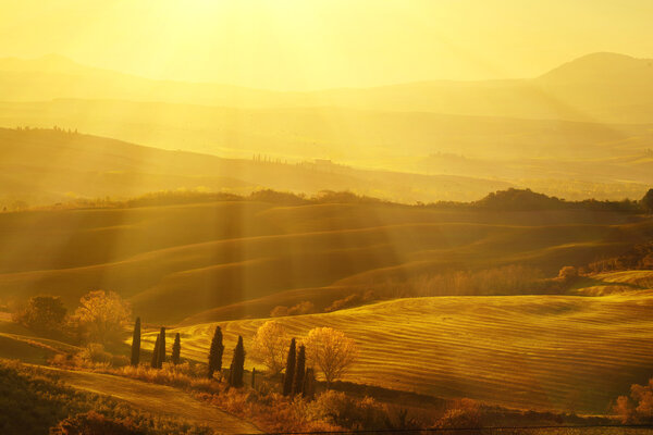 Wavy fields in Tuscany
