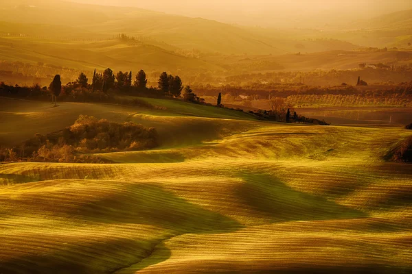 Campos ondulados em Toscana — Fotografia de Stock