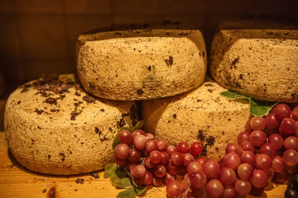 Keju domba Pecorino — Stok Foto