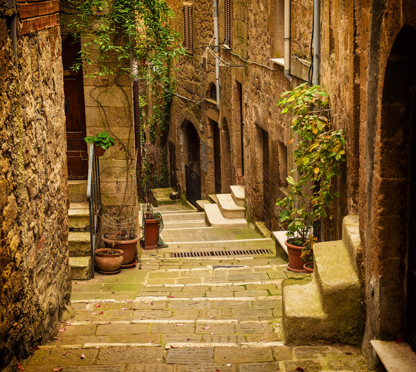 Narrow street of medieval tuff city Pitigliano with green plants and cobblestone stairs, travel Italy vintage background