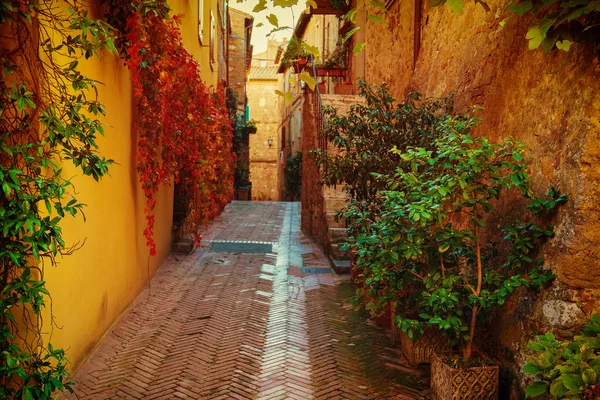 Street of Pienza Royalty Free Stock Images