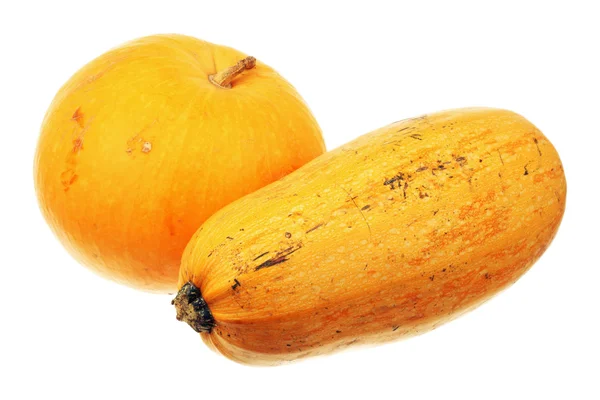 Pumpkin and zucchini Stock Image