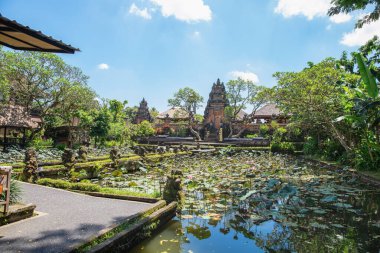 Nilüferli gölet manzarası ve Bali, Ubud 'daki Bali tapınağının girişi.