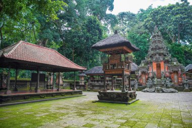 Ubud, Bali, Endonezya 'daki Kutsal Maymun Ormanı' ndaki tapınak.