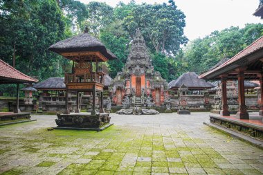 Ubud 'daki Bali Tapınağı Kutsal Maymun Ormanı, Bali, Endonezya
