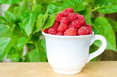 Olgun Kırmızı Ahududu bir fincan