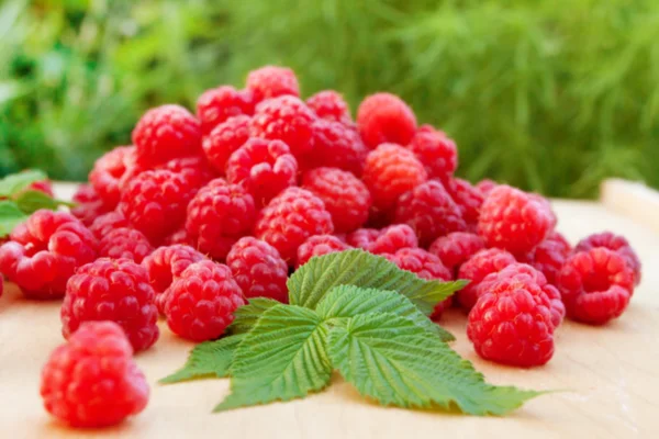 Bunch of ripe juicy raspberries — Stock Photo, Image