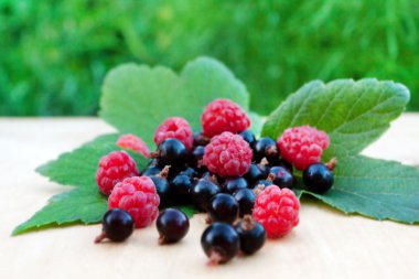 Olgun Ahududu ve blackcurrant