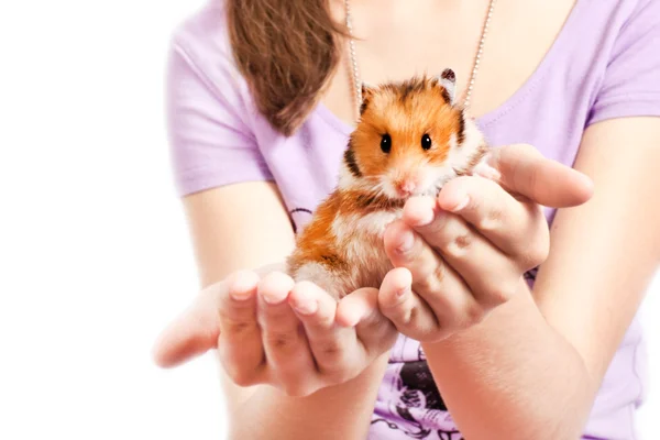 Hamster bir kız elinde