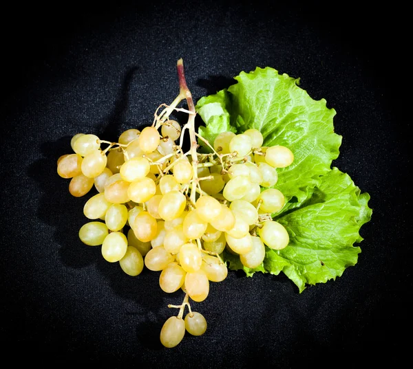 Grappolo di uva bianca matura — Foto Stock
