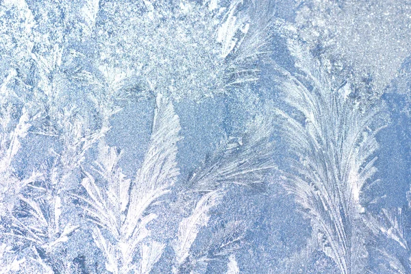 Background Frosty pattern on glass Royalty Free Stock Images