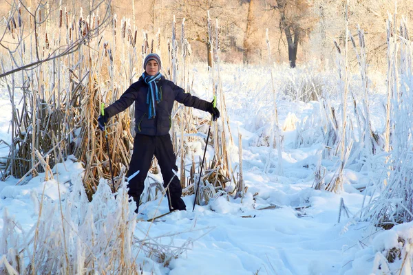 Αγόρι πολλαπλής χώρα σκι στο δάσος στην ηλιόλουστη χειμερινή ημέρα — Φωτογραφία Αρχείου