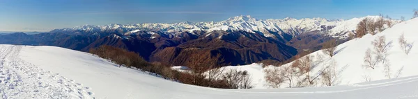 Monte rosa glacier aus mottarone sonniger tag — Stockfoto