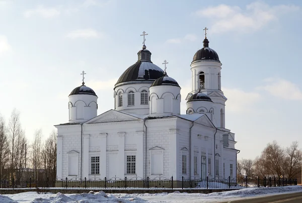 Ortodoxní katedrála Eliáše proroka, Soltsy. Rusko Stock Fotografie