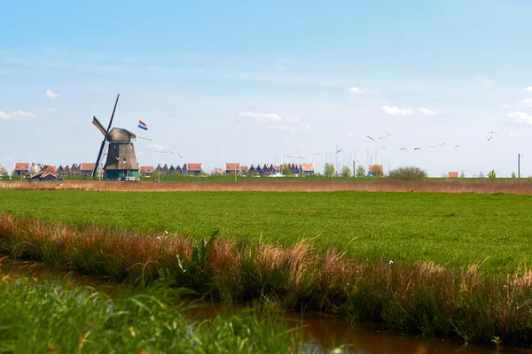 Charming landscape with Dutch windmill  bright spring day — Stock Photo, Image