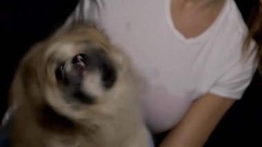 Kadın köpeğini fırçalama