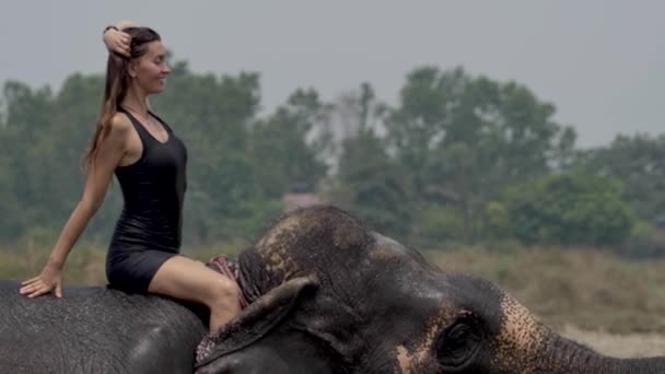 Girl have a shower on the elephant — Stockvideo