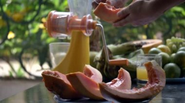 Taze meyve. Papaya. Meyve suyu hazırlama.
