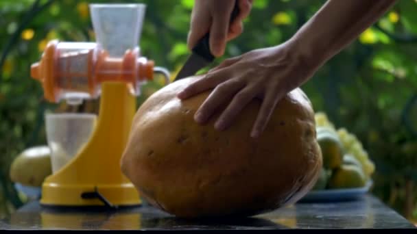 Fruta fresca. Papaya. Preparación de zumo . — Vídeos de Stock
