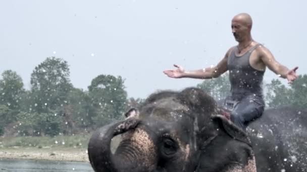 Man have a shower on the elephant — Stockvideo