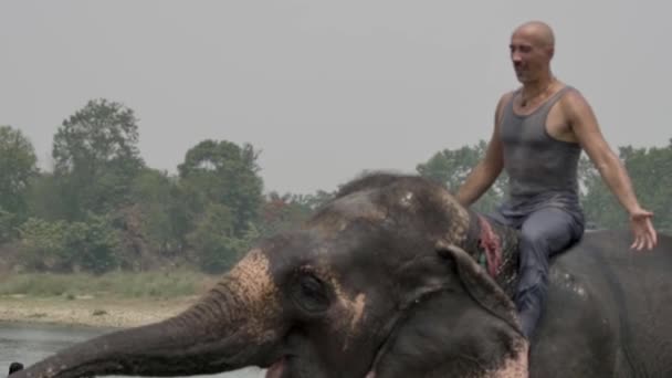 El hombre tiene una ducha en el elefante — Vídeos de Stock