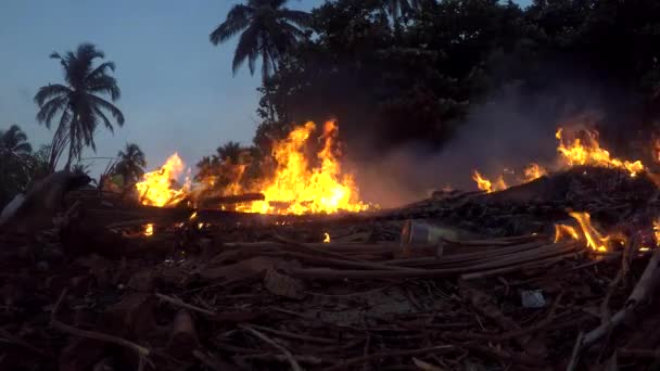 Požár v poli suché trávy. — Stock video