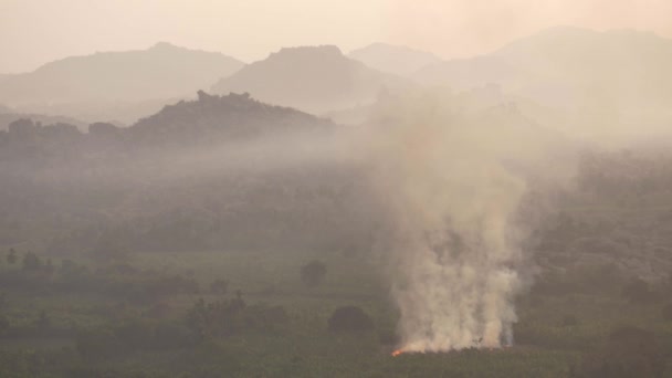 Feu dans le champ de gazon sec. — Video