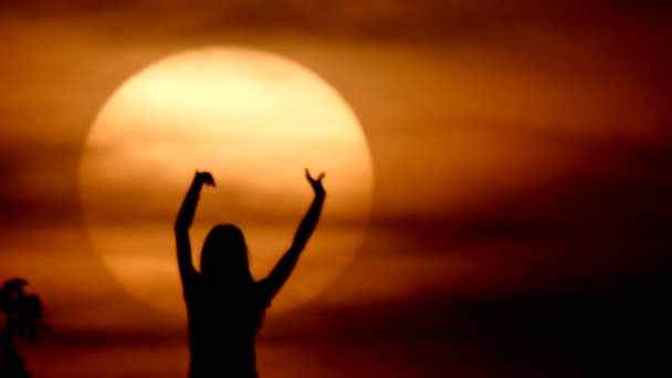 Mujer feliz y libre disfrutando en Sea Sunset. Silueta contra el atardecer, amanecer Sol en la palma — Vídeos de Stock