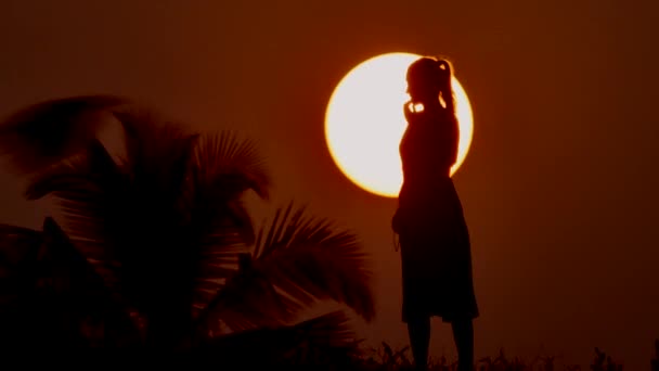 Szczęśliwa kobieta wolna, ciesząc się w morzu słońca. Silhouetted zachód, wschód słońca na dłoni — Wideo stockowe
