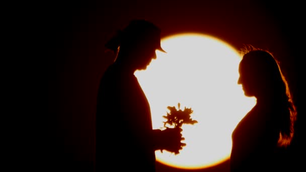Μια Σκιαγραφία κατά το ηλιοβασίλεμα. ζευγάρι. — Αρχείο Βίντεο