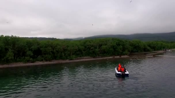 Turister och brunbjörnar. — Stockvideo