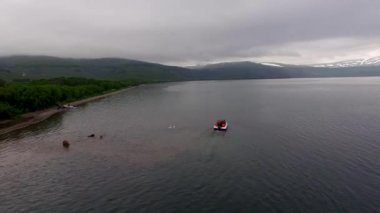 Turistler ve kahverengi ayı.