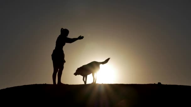 En silhuett av en ung kvinna och hennes husdjur Mix hund skakar händer vid solnedgången. Med kopia-utrymme i himlen. — Stockvideo