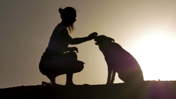 En silhuett av en ung kvinna och hennes husdjur Mix hund skakar händer vid solnedgången. Med kopia-utrymme i himlen. — Stockvideo