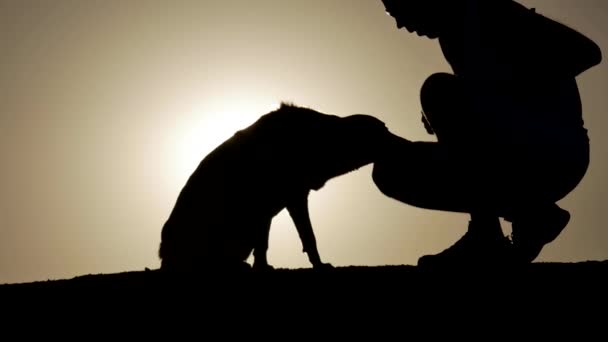 Een hond en de eigenaar als silhouet bij zonsopgang — Stockvideo