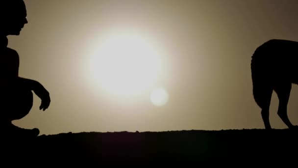 Een hond en de eigenaar als silhouet bij zonsopgang — Stockvideo