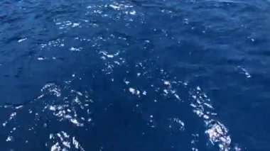 Tekne deniz yüzeyinde hareket ederken kamerayı sudan ufka kaldırıyorum..