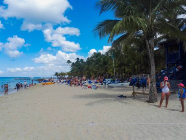Yazın Dominik Cumhuriyeti 'nde bir tatil köyünde palmiye ağaçları olan bir sahil..
