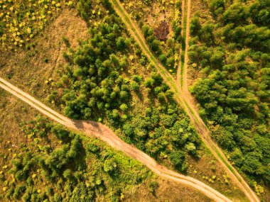 Kırsal kesimin dik açılı havadan görüntüsü.