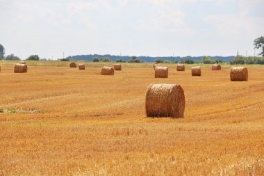 haystacks alan güneş