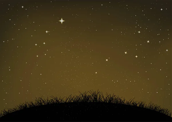 Hierba y suelo estrellado cielo nocturno — Vector de stock