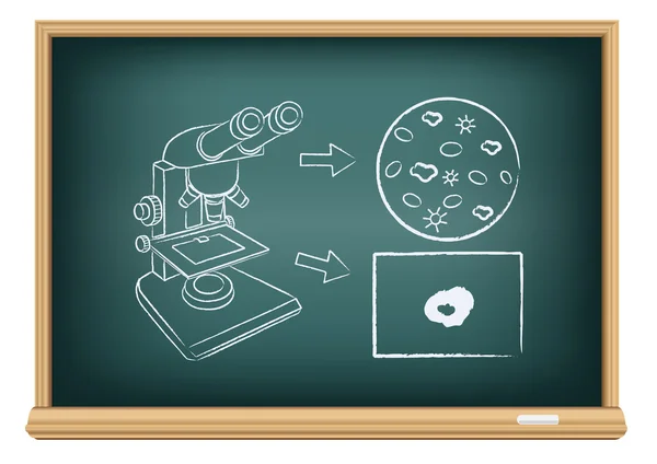 Board blood under a microscope — Stock Vector