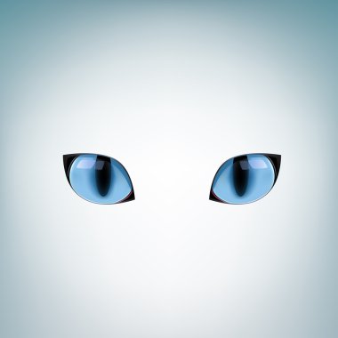 Mavi kedi gözleri