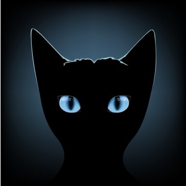 Kara kedi mavi gözler
