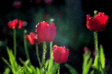 Kırmızı lale çiçek bahar