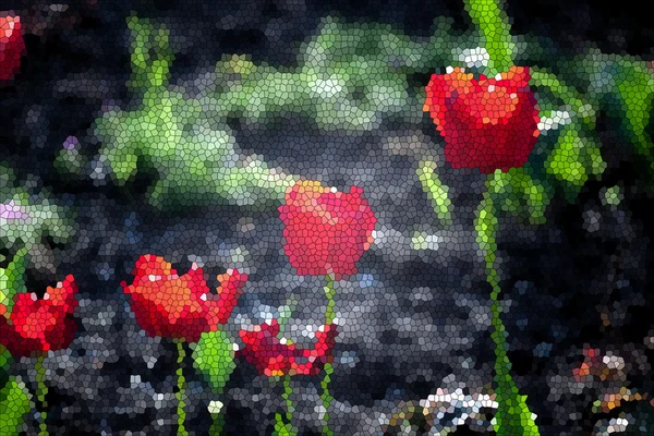 Printemps fleurs de tulipes rouges — Photo