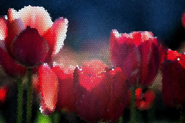 Spring red tulips flowers — Stock Photo, Image