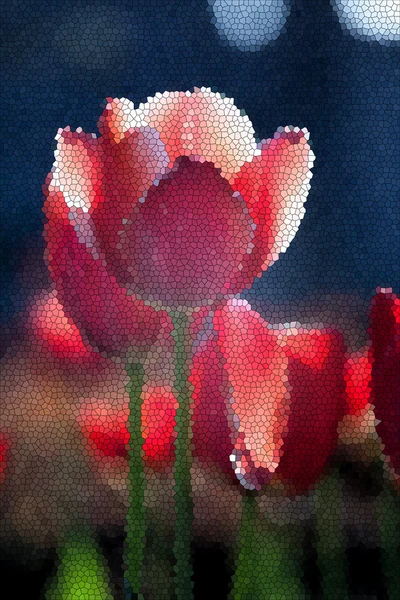 Spring red tulips flowers