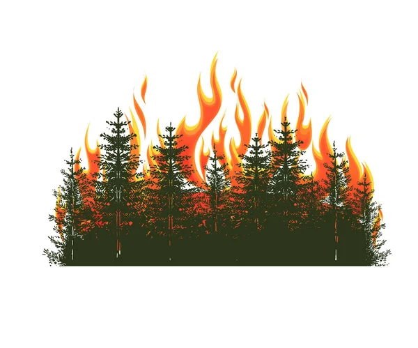 Silhouette Conifères Sur Feu Forêt Feu Dans Forêt Illustration Vectorielle — Image vectorielle