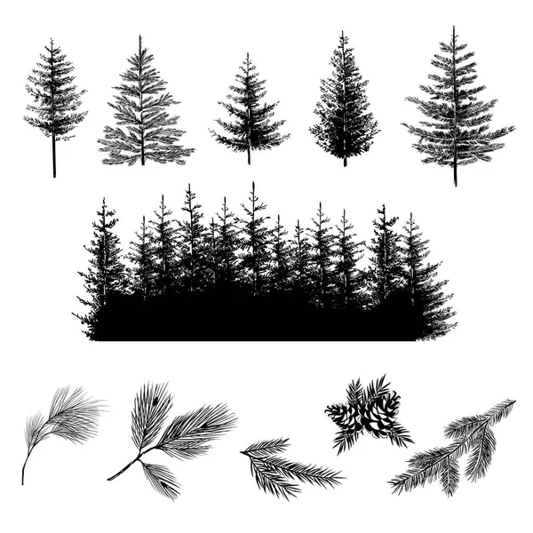 森の木のセット コーンとオニファーの木や枝の現実的なシルエット トウヒ ベクターイラスト — ストックベクタ